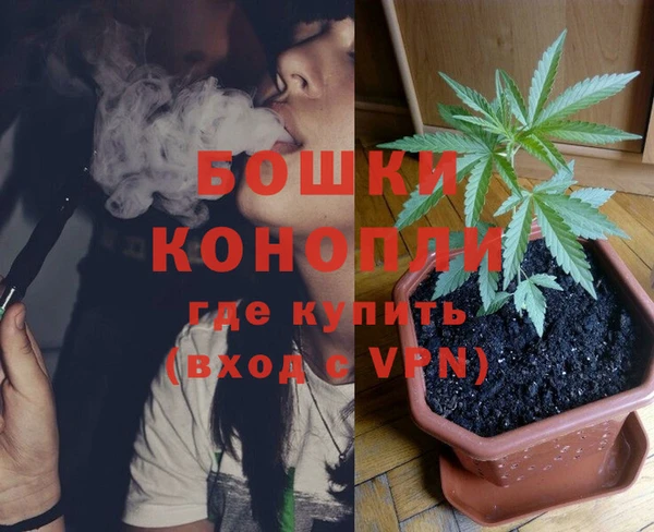 индика Навашино