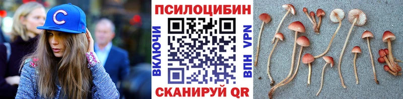 Псилоцибиновые грибы ЛСД  гидра вход  Полярный 